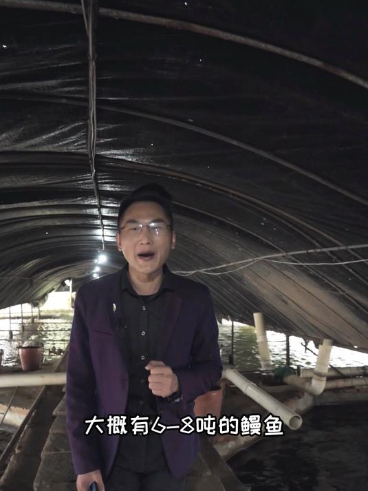 直击养鳗现场 #远臻君集团荣誉出品##海丝郎蒲烧鳗鱼#