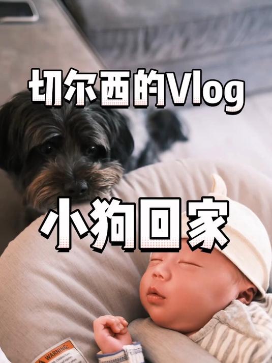 今天把小狗接回家了,一家四口团圆咯!