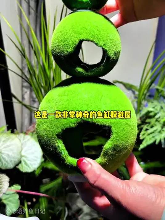 鱼缸造景必备躲避屋,仿真苔藓美爆了,效果超棒