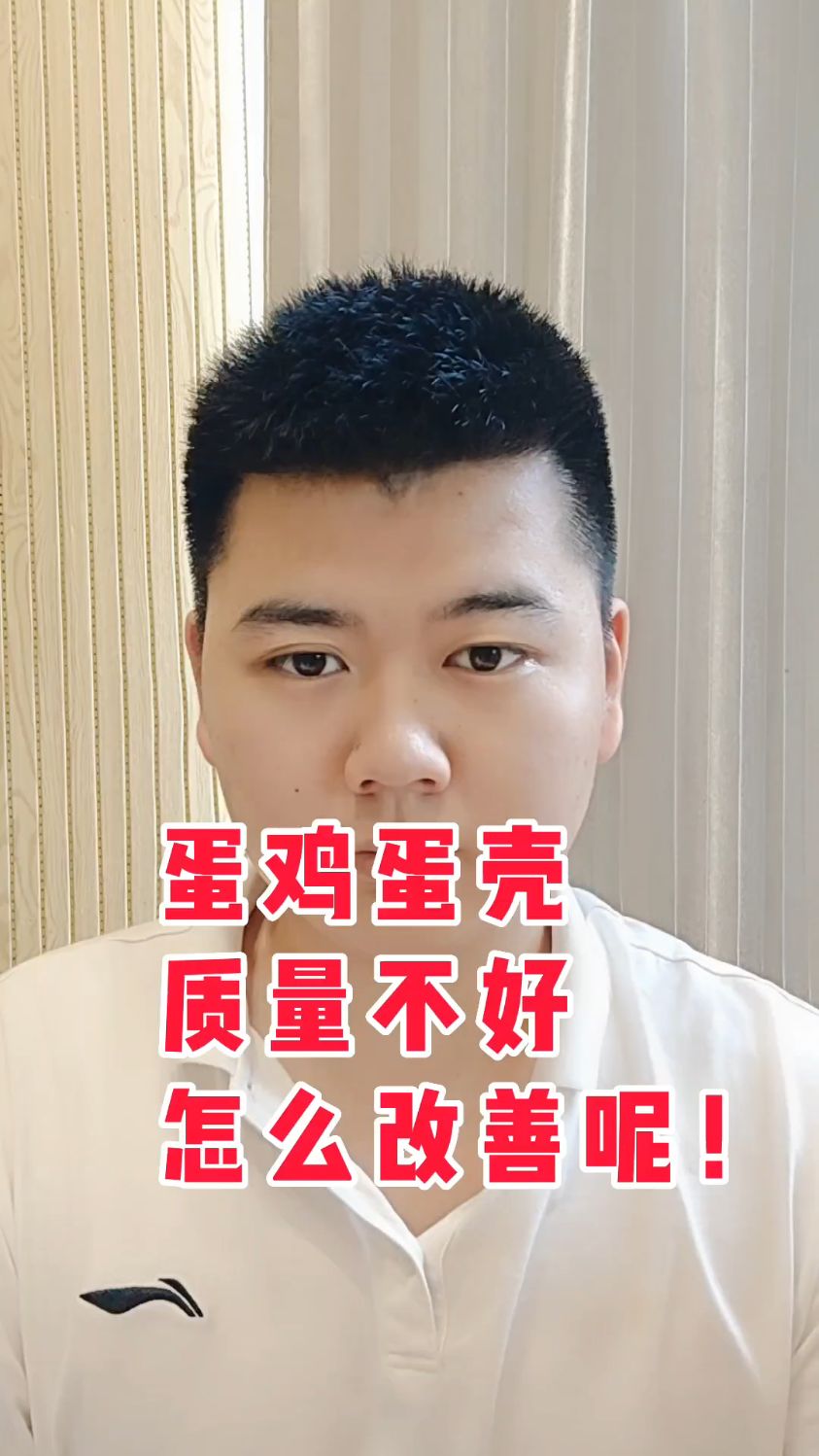 #蛋鸡产的蛋壳非常薄鸡下的蛋壳很薄怎么办鸡下的蛋皮薄易破是咋回事鸡蛋壳很薄是什么原