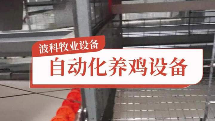 波科牧业自动化养鸡设备