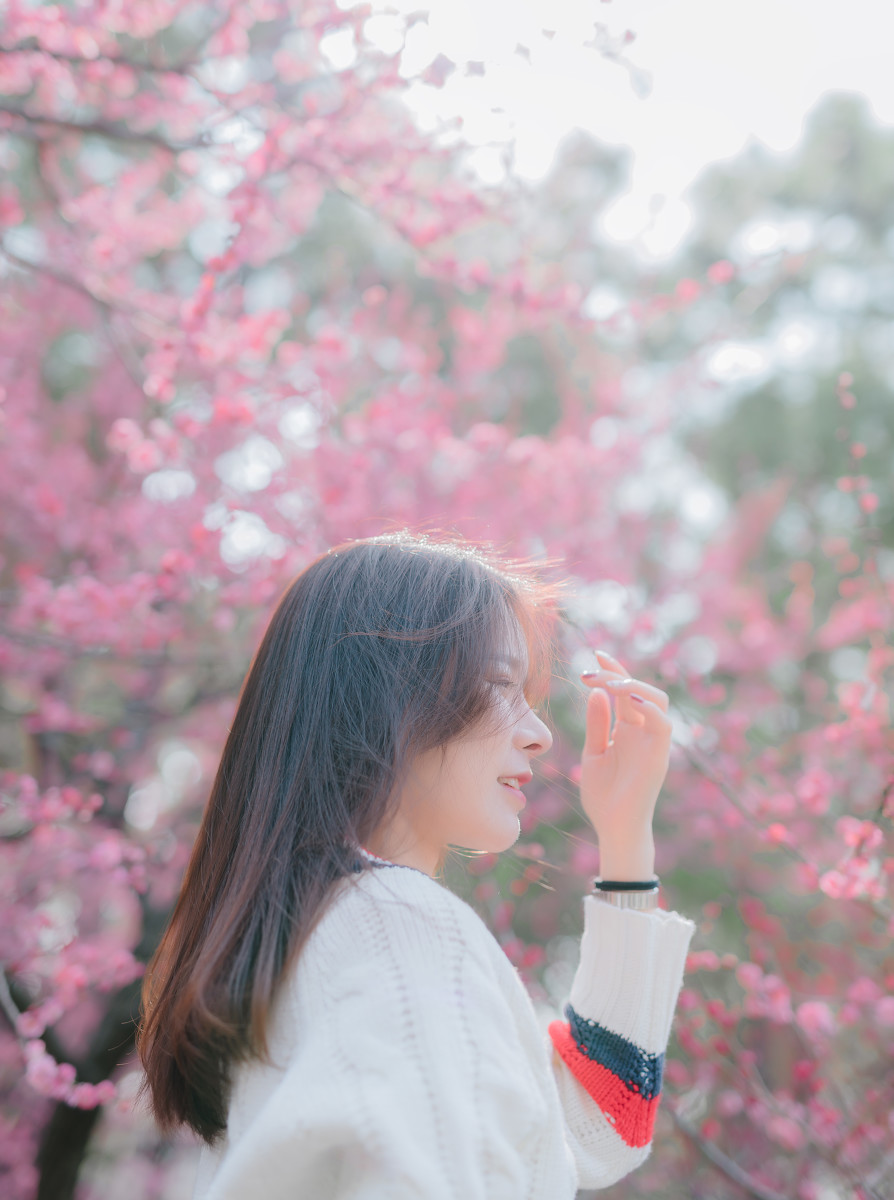 春天来啦-六色网