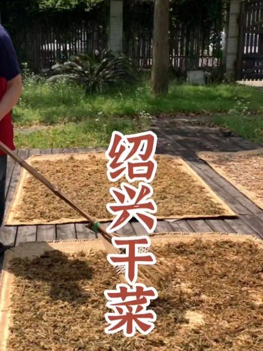 自制绍兴梅干菜，笋干菜