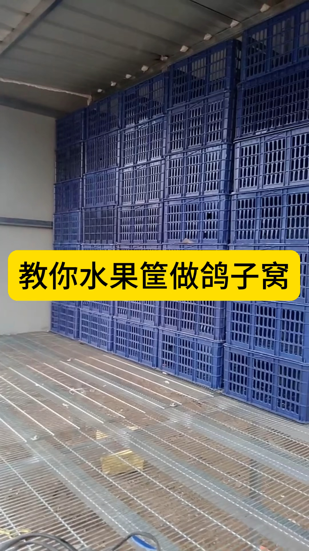 教你水果筐做鸽子窝。