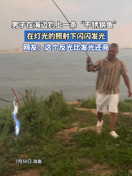 男子在海边钓上一条“不锈钢鱼”，在灯光的照射下闪闪发光