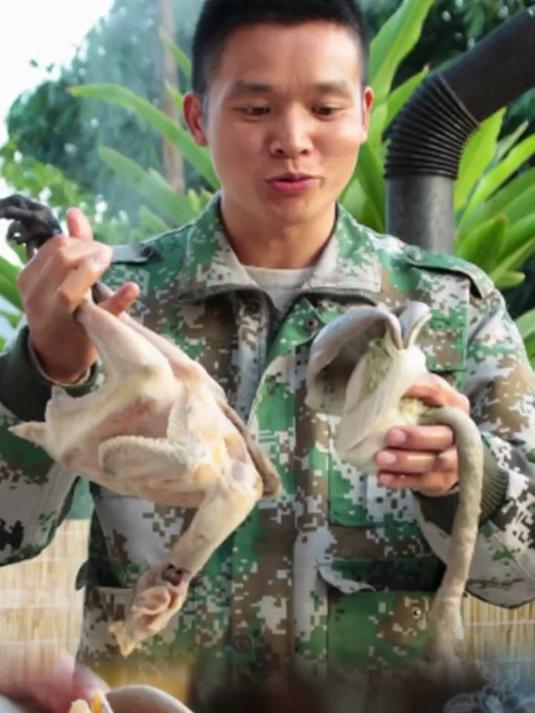 农村柴火炖的板栗猪肚鸡