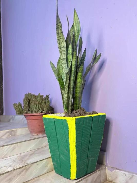 梯形纸框 + 水泥砂浆 DIY 创意盆栽