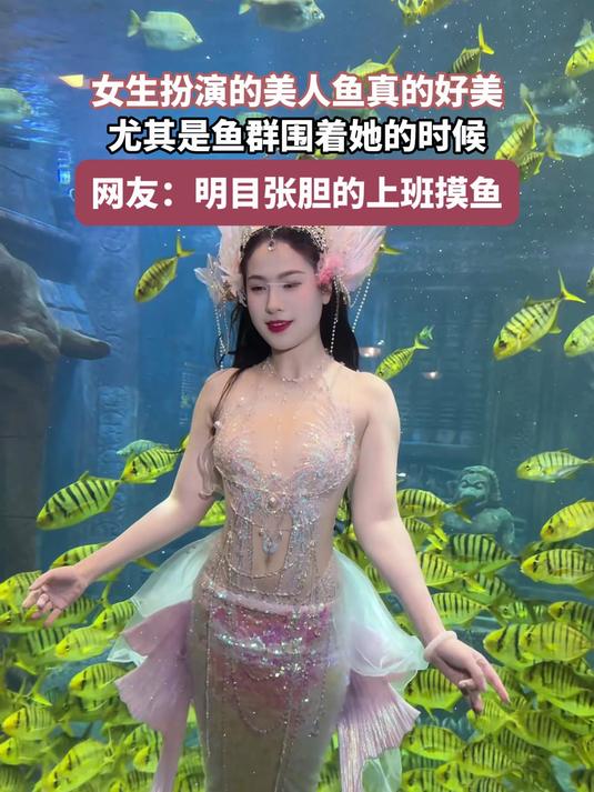 女生扮演的美人鱼真的好美,尤其是鱼群围着她的时候,太惊艳了