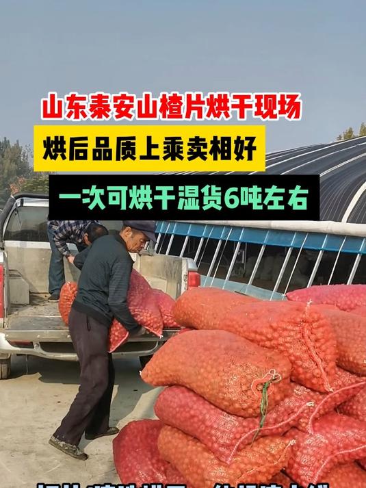 山楂片烘干机 山楂干干燥机 网带烘干设备