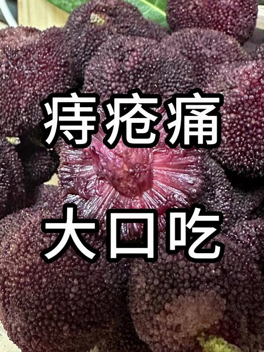 痔疮肉球凸出,3个方法简单有效,排便更轻松!