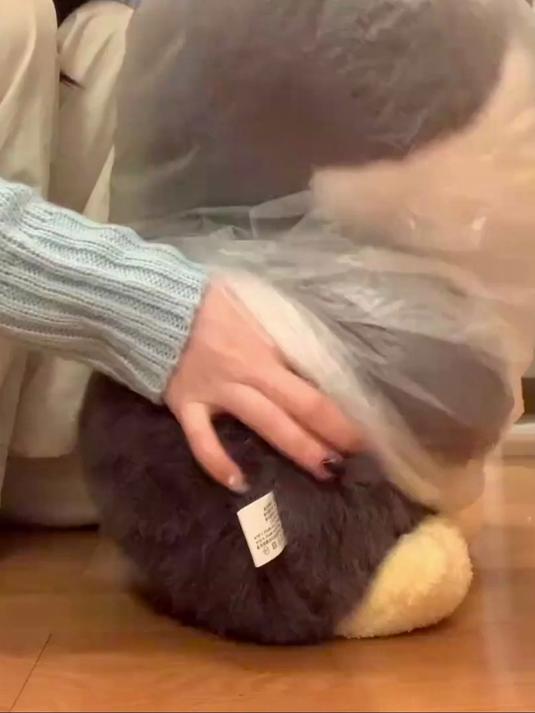 可爱小企鹅玩偶 女生睡觉抱枕儿童抱睡生日礼物