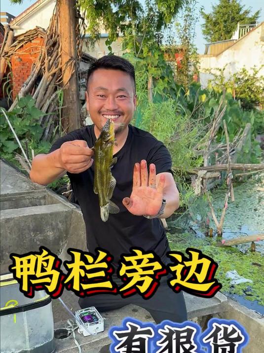 今日份鱼颜,美得让我想裱起来