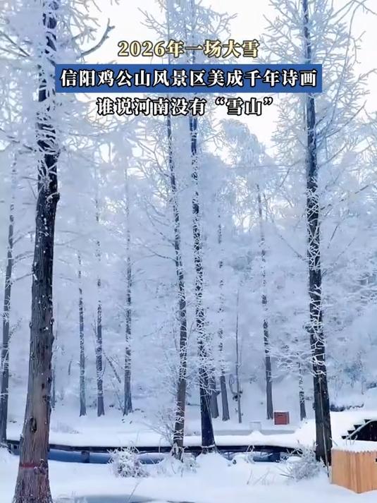 2026年一场大雪,信阳鸡公山风景区美成千年诗画