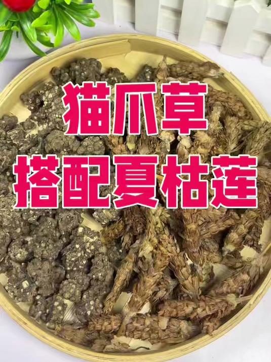 猫爪草搭配夏枯草泡水煮水#猫爪草夏枯草泡水##猫爪草泡水##夏枯草煮水##清热降火茶##养