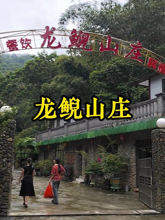 罗定一处幽静的地方,龙鲵山庄,这里有娃娃鱼