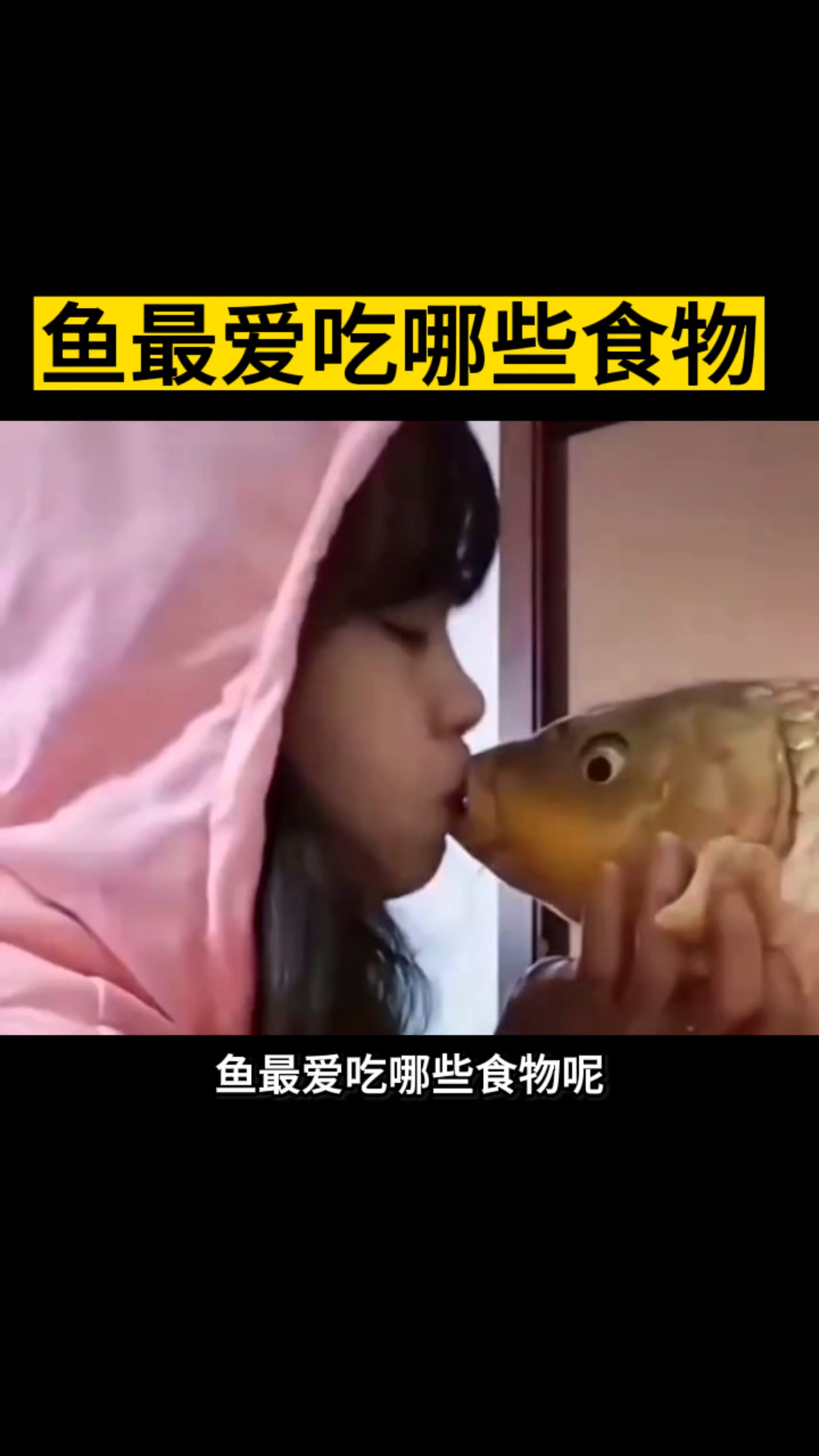 鱼最爱吃哪些食物#水产养殖