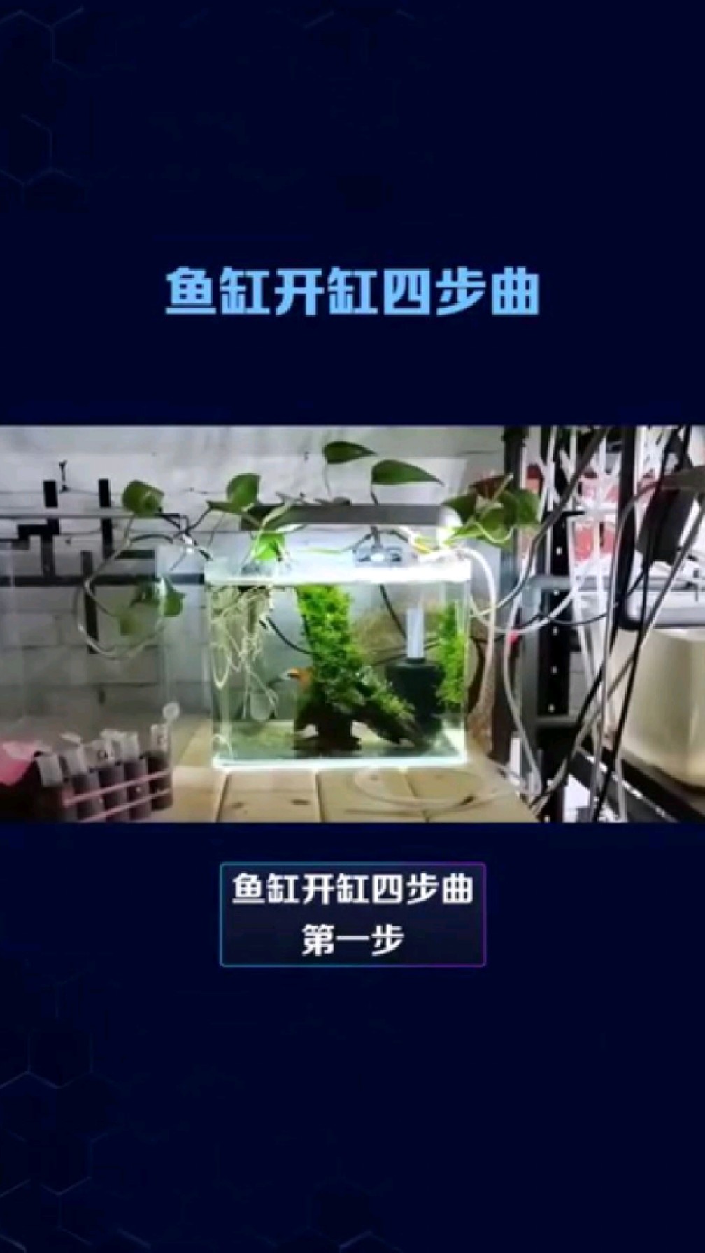 新鱼缸如何开缸