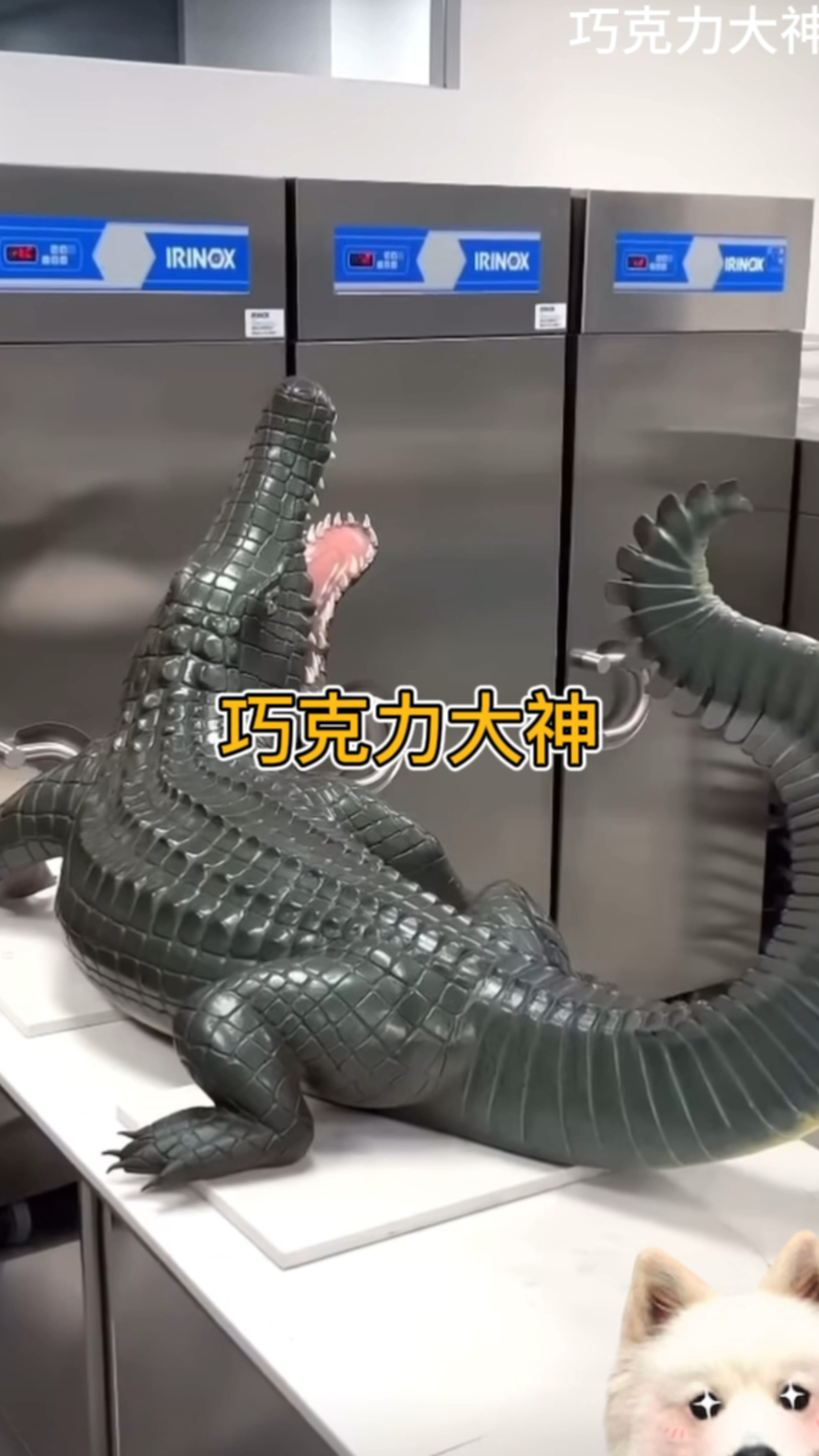 巧克力大神唯美作品