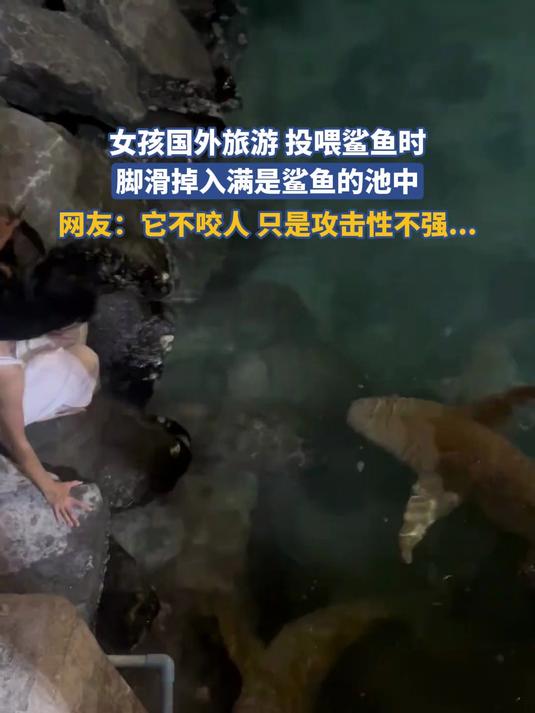 女孩国外旅游投喂鲨鱼时，脚滑掉入满是鲨鱼的池中