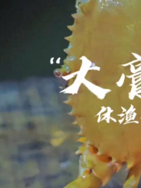 还有半个月就要休渔#出海捕鱼##渔民日常##渔民生活实拍#