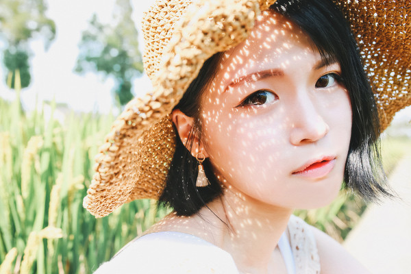 稻田里的夏天-六色网