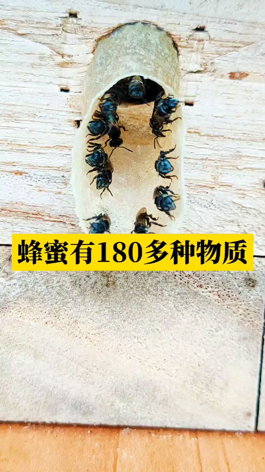 蜂蜜的营养成分有那些?