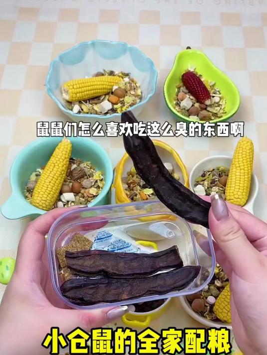 鼠鼠没粮就要装死!今天给 仓鼠辅食 全家配粮喽!