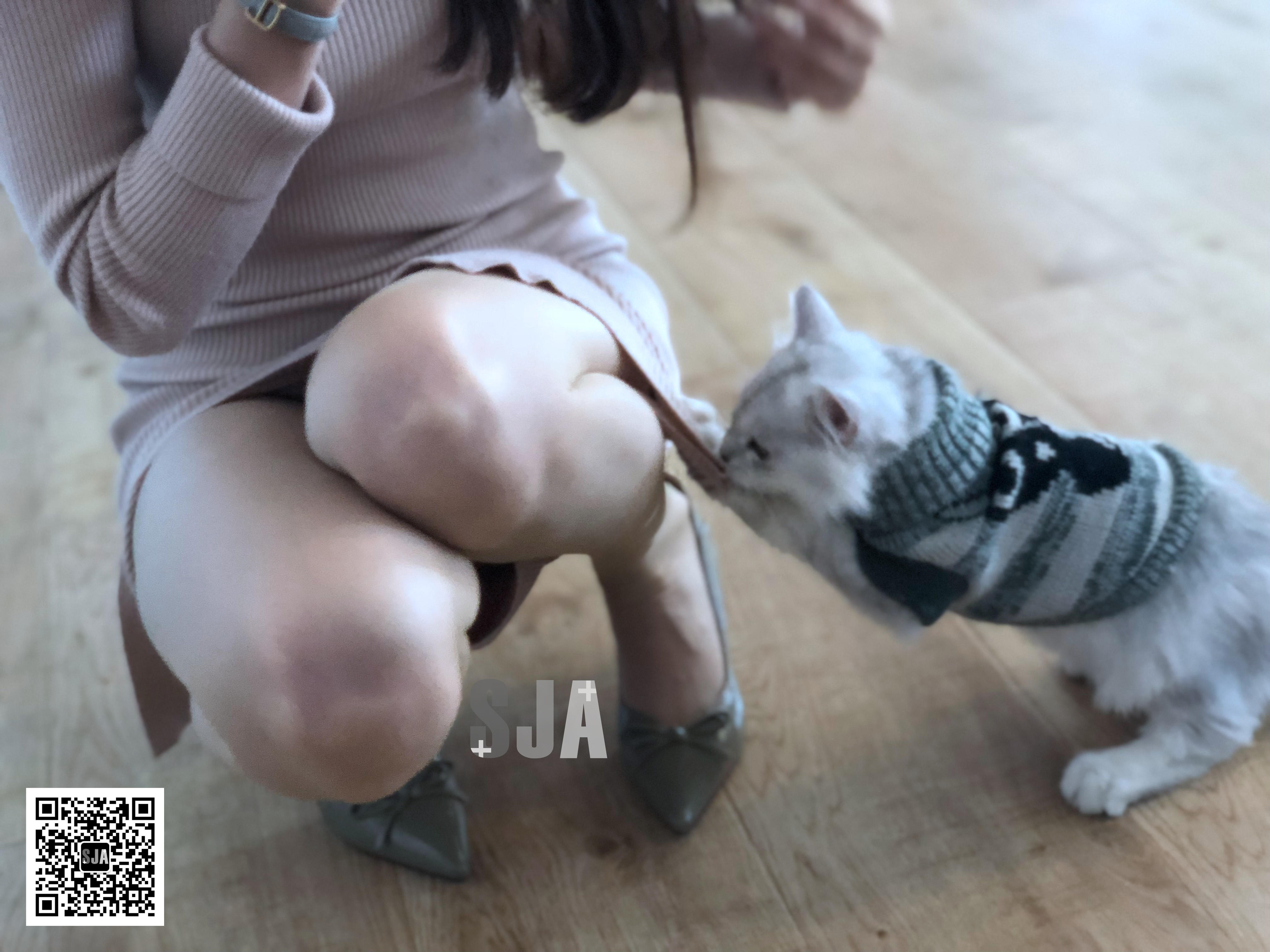 图片[25]-[SJA佳爷]闺蜜视角 NO.013 喵 [60P+81M]-六色网