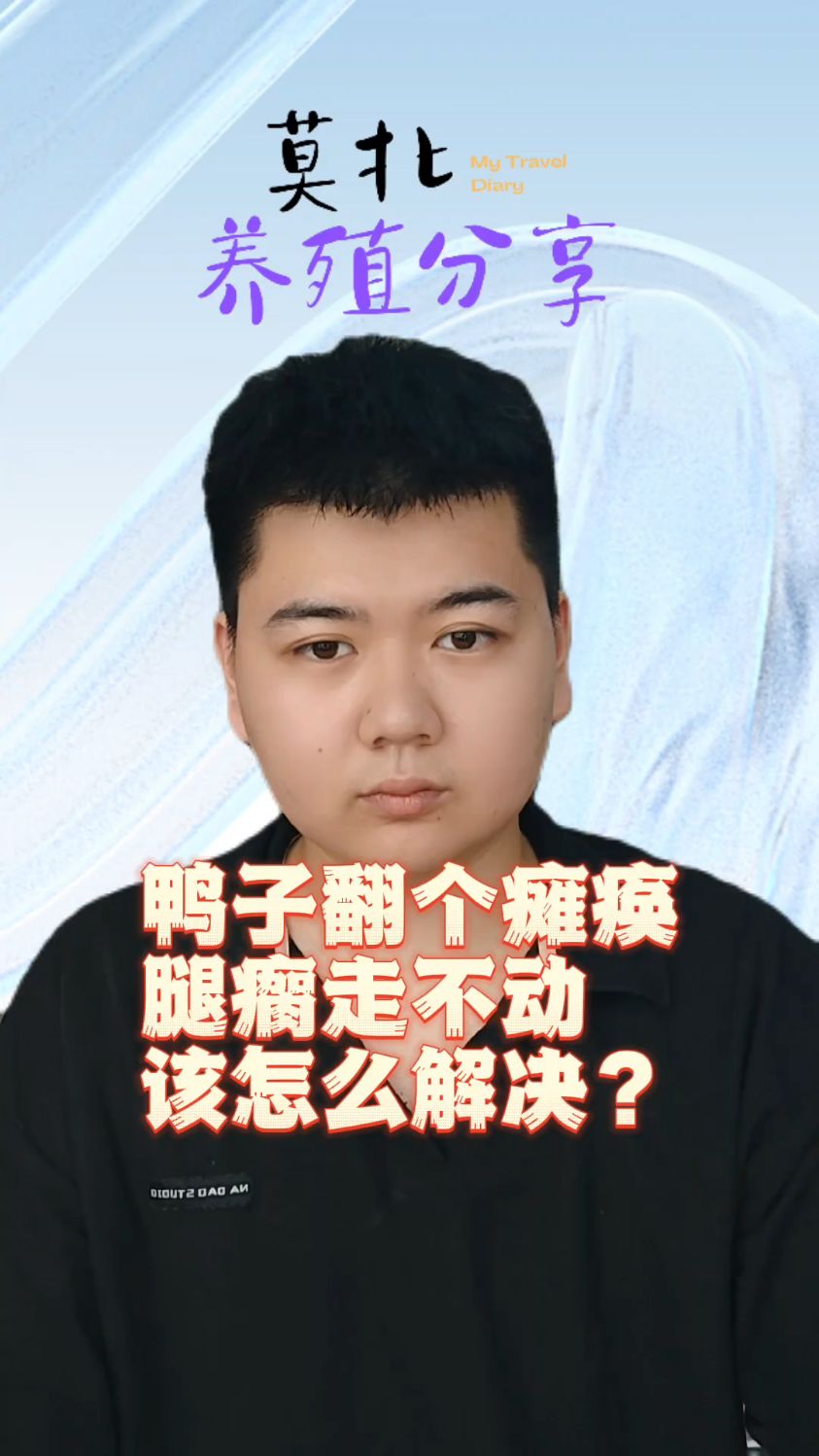 鸭子瘫痪是什么原因造成鸭瘫痪的几大原因小鸭子瘫痪了是怎么回事小鸭子瘫痪了怎么办