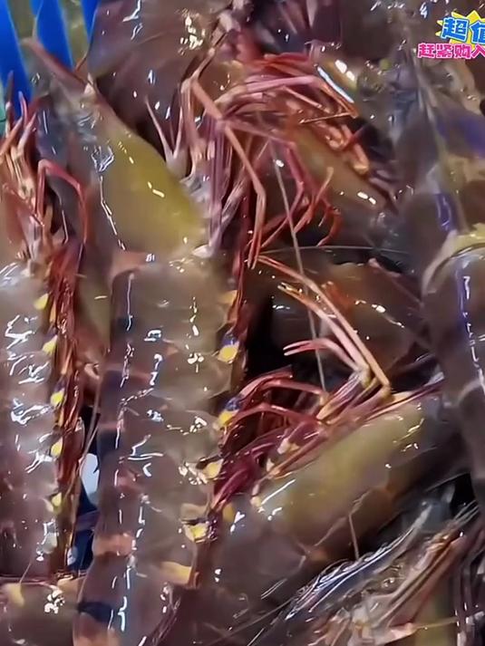 活虾急冻锁鲜！黑虎虾的鲜嫩经得起考验～