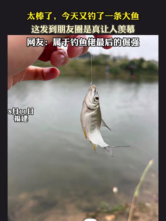 太棒了,今天又钓了一条大鱼,这发到朋友圈是真让人羡慕