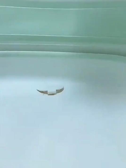 灵动电子小戏鱼!戏水洗澡超欢乐