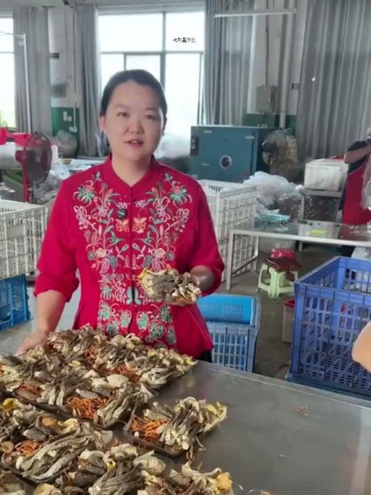 七彩菌菇汤包云南特产羊肚菌鹿茸菇杏鲍菇虫草花煲汤炖鸡汤美味汤 p2.75