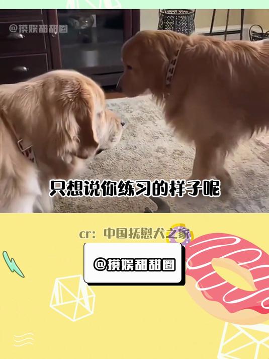 小鸡毛,你怎么还有两幅面孔