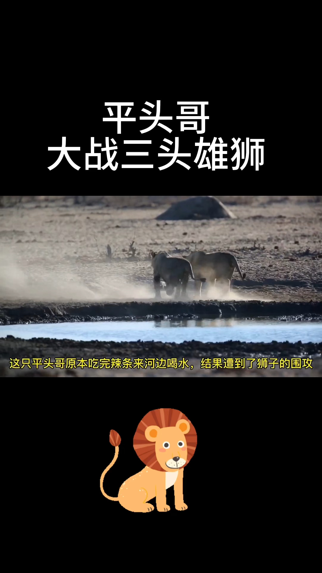 三头雄狮和平头哥的战争。