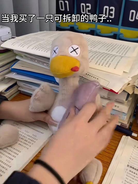 年底特惠享盛宴!盐水鸭磁吸公仔可爱拆分超有趣玩偶!