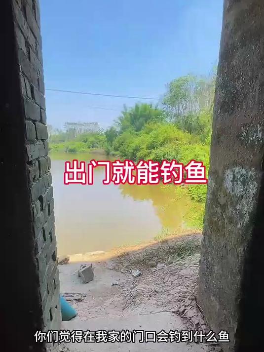 成群结队的鱼打水,没想到是你们