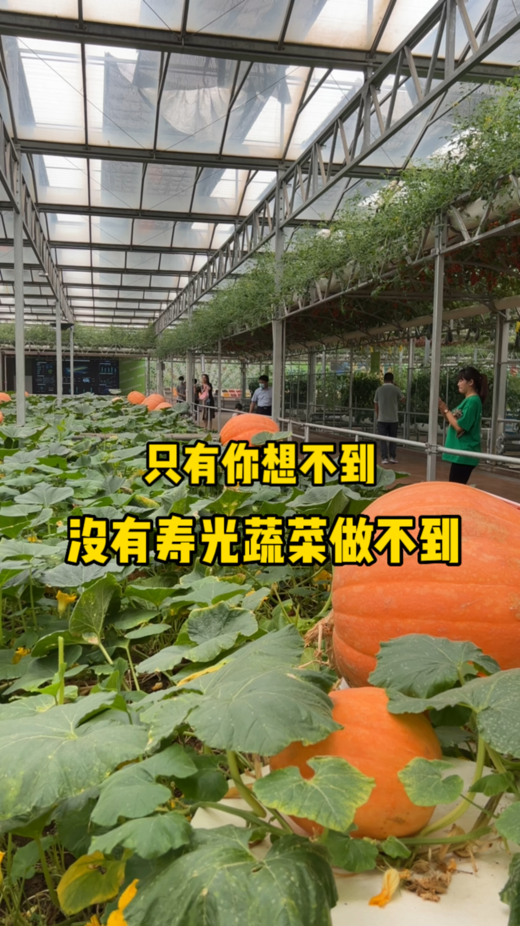 只有你想不到,没有寿光蔬菜做不到,第二十四届寿光国际蔬菜科技博览会欢迎你的到来!