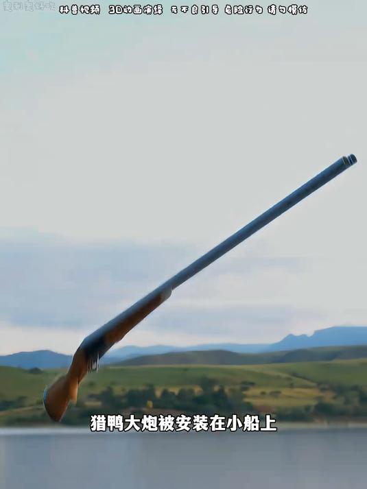 打鸭子