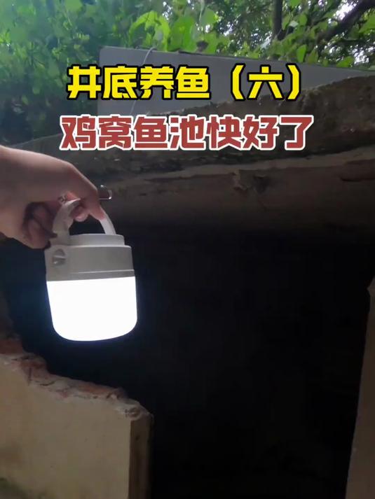 给鸡窝刮水泥,刷上防水漆,改造成鱼池,结果排水口没做好,全崩了!
