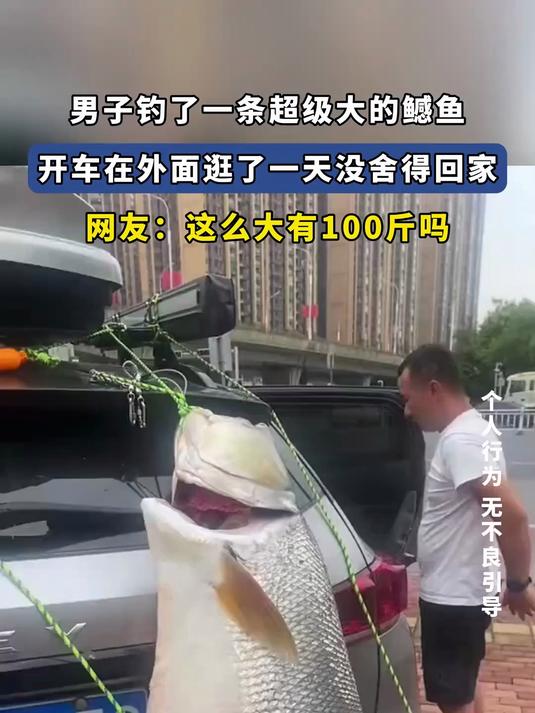 男子钓了一条超级大的鳡鱼,开车在外面逛了一天没舍得回家