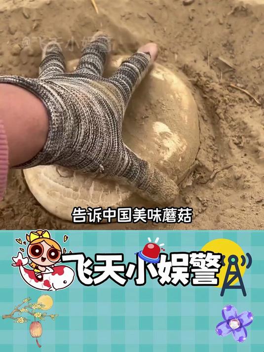 周末给家人露一手！竹荪煲鸡汤暖呼呼上桌，幸福感直接拉满