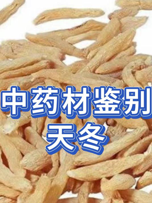 中药材天冬你认识吗?