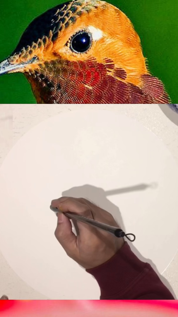 国画课件分享,写意国画蜂鸟画法,儿童国画课件教学视频+