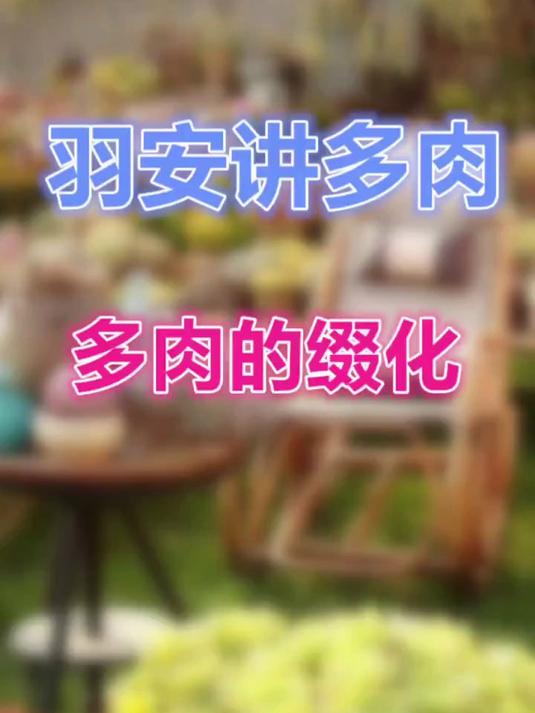 多肉的缀化