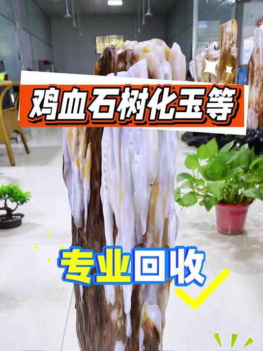 鸡血石树化玉等专业回收 当天验货当天结