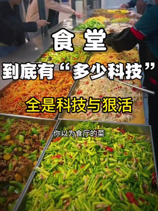 《食堂》居然有“预制菜”?真是太刺激了……