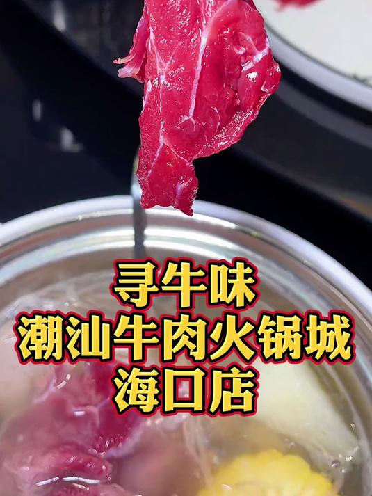 潮汕牛肉火锅 之前我在广东就喜欢这家,现在海口也有了,盘它