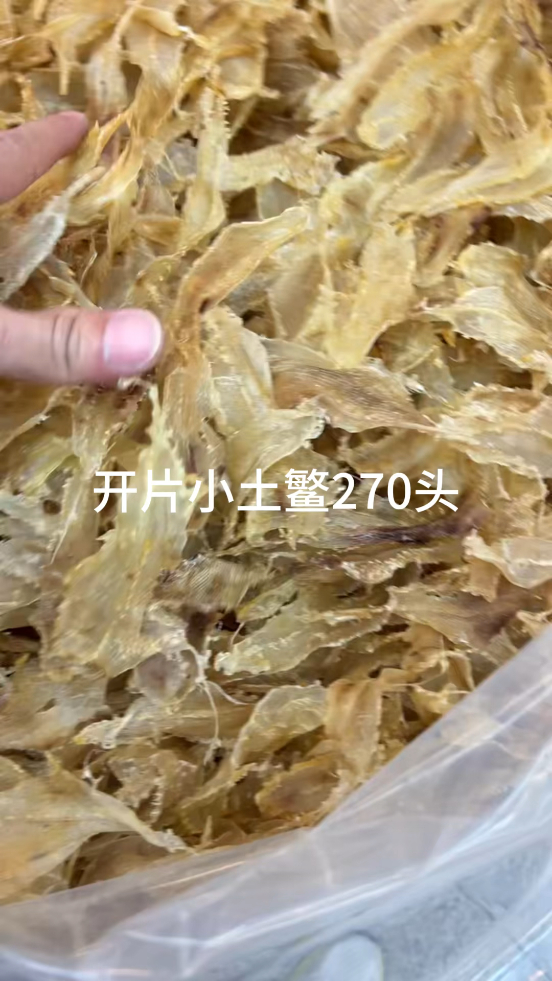 开片小土鳘,老腊湛江赤嘴公,花鳘,长龙雪鱼胶,佐罗筒,足干大口母已去内膜