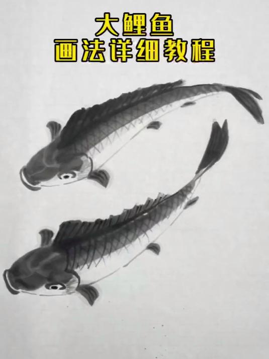 大鲤鱼画法详细教学 国画教程